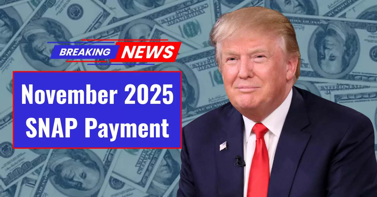 November 2025 SNAP Payment